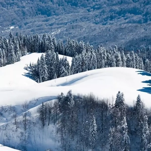 廖承宇自慰出精
